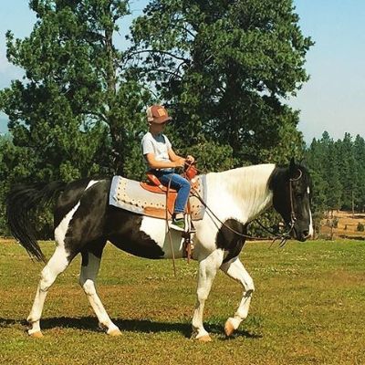 Childhood picture of Brecken Merrill, riding a horse.